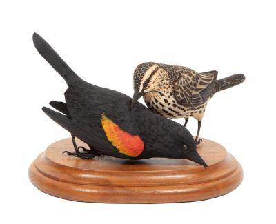 Red-Winged Blackbird