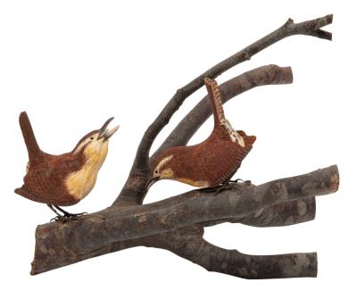 House Wren