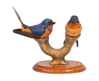 Barn Swallows