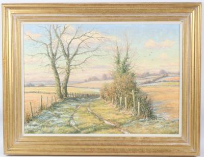 December morning frost