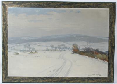 Winter landscape with a path through snow