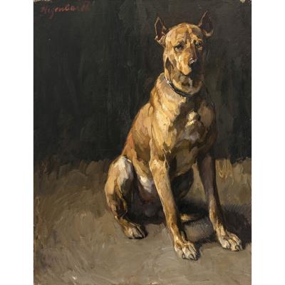 Sitting Great Dane