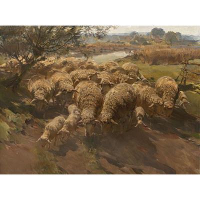 Flock of sheep by the lake