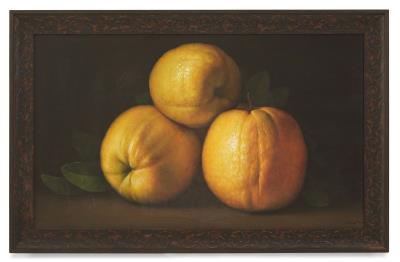 Still-Life - Citrus