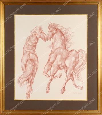 Study of two horses