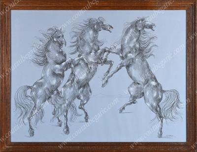 Study of three horses
