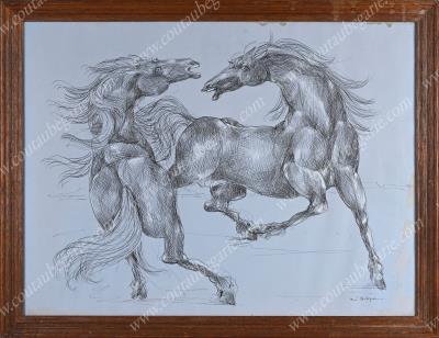 Study of two horses