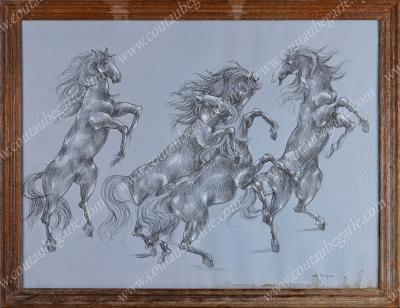 Study of three horses