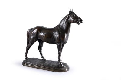 Neighing stallion