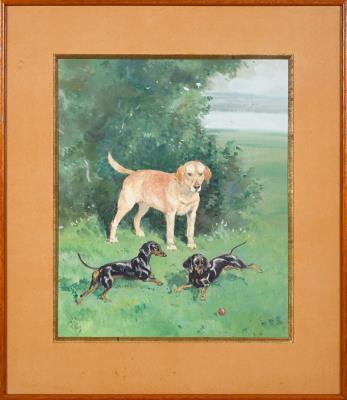 Labrador and dachshunds