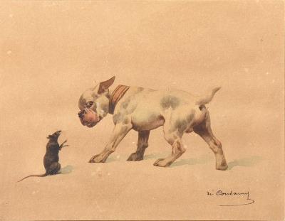Head to Head, Bulldog