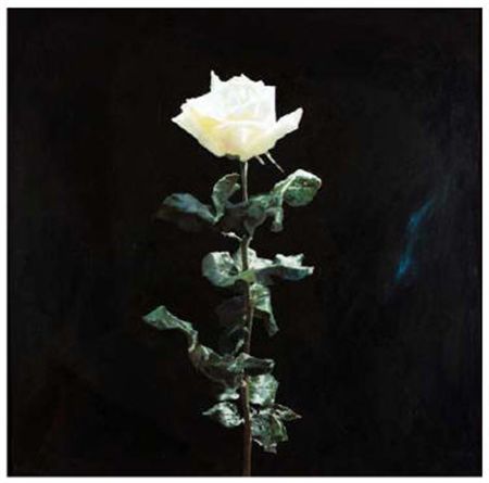 Rosa , 2005