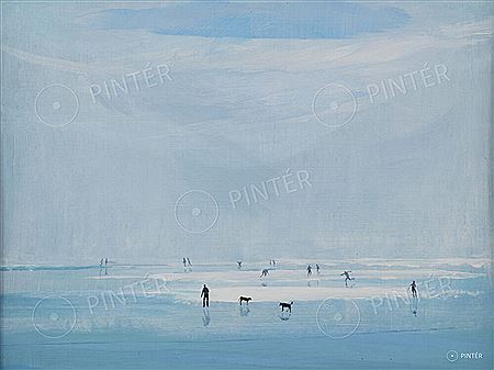 Skaters on Lake Balaton