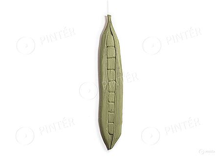 9 Seeds