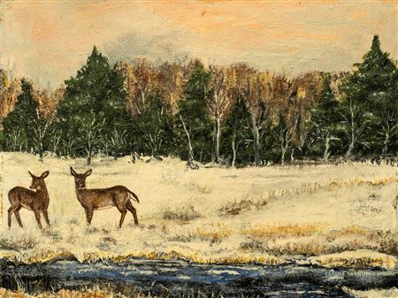 Deer in the Snow