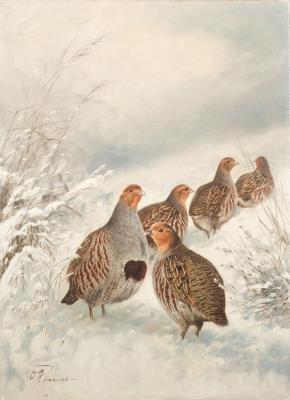 Partridges in a winter landscape by Oswald Romer - Auction record, sale price, and art valuation. Compare with similar artists and explore comparable artworks.