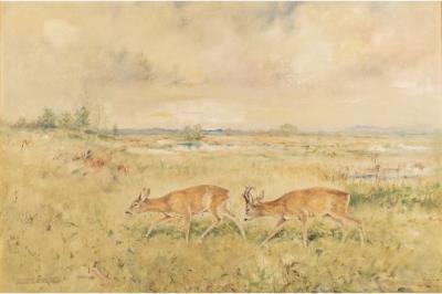 Artwork by Adalbert Meckel