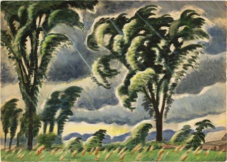 Windblown Elms