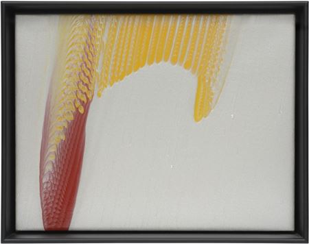 Extended Object