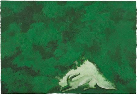 Frightened dog in the woods 1