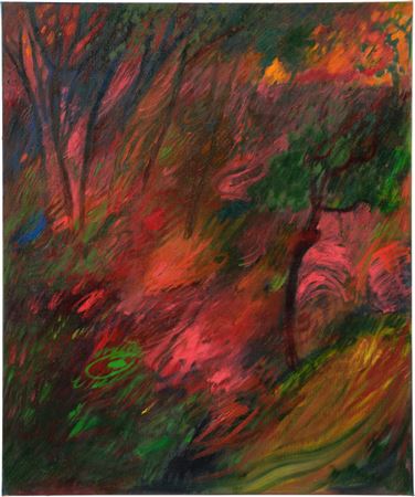 The Forest Ablaze