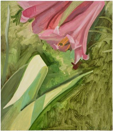 Red Lily + Iris Leaves