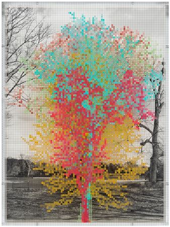 Numbers and Trees: Central Park Series III: Tree #6, Gina