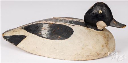 Goldeneye duck decoy