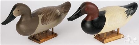 Pair of carved and painted canvasback duck decoys