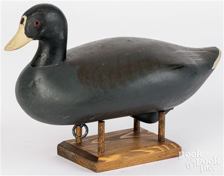 Blue coot duck decoy