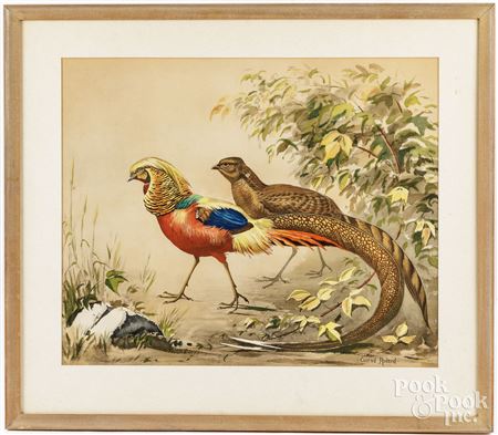 Pheasants