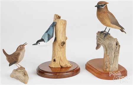 Songbirds (3)