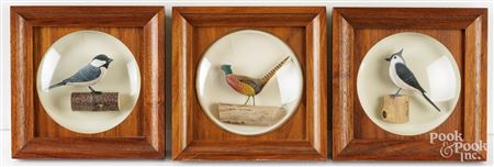 Bird Dioramas (3)