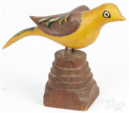 Bird