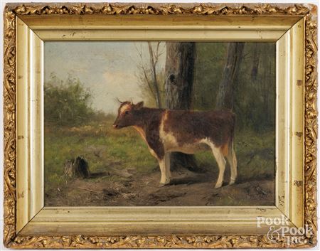 Cows