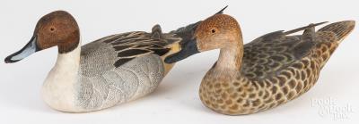 Pair of pintail duck decoys