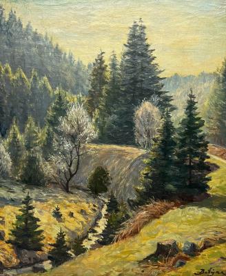 Harz Landscape
