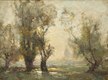Marshy Early Evening Landscape