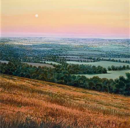 Evening Landscape