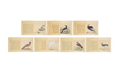 An Imperial Manual of Birds (7)