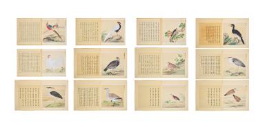 An Imperial Manual of Birds (12)