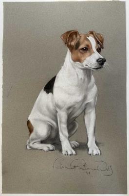 Portrait of a Jack Russell, 'Stella' by Victoria Fontaine-Wolf - Auction record, sale price, and art valuation. Compare with similar artists and explore comparable artworks.