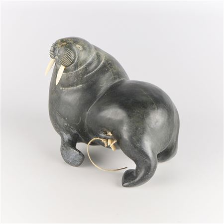 Walrus