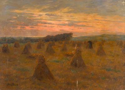 Fields at dusk
