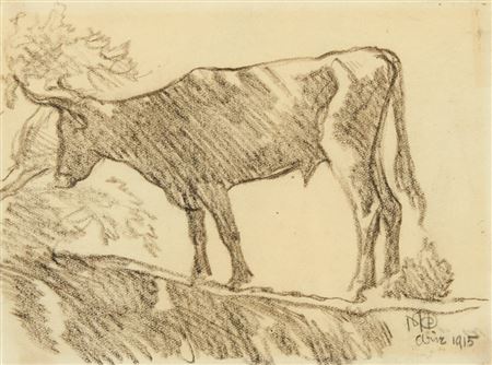 "Sonoran Steer, Arizona"