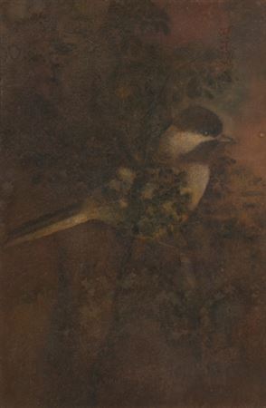 Untitled (Bird on Tree) by Abanindranath Tagore - Auction record, sale price, and art valuation. Compare with similar artists and explore comparable artworks.