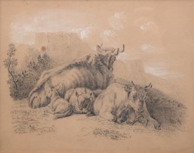 Resting Cattle and Sheep