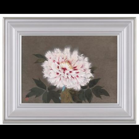 Peony