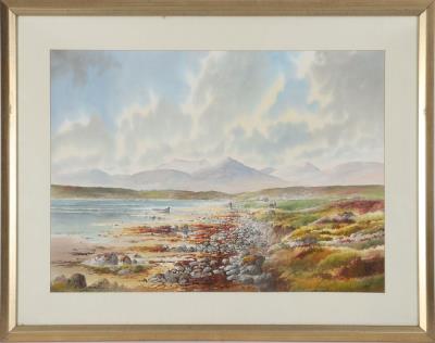 Connemara Landscape