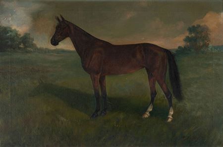 Equestrian portrait of a bay horse in a field